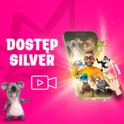 Hi School Silver - NA ROK