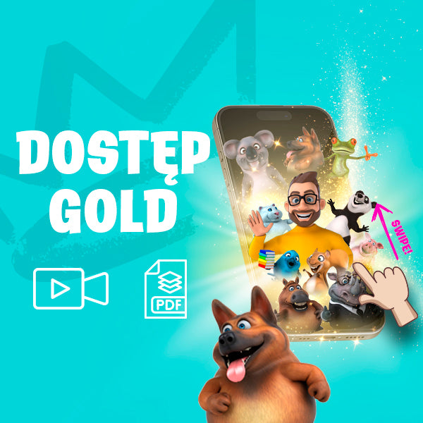 Hi School Gold - NA ROK