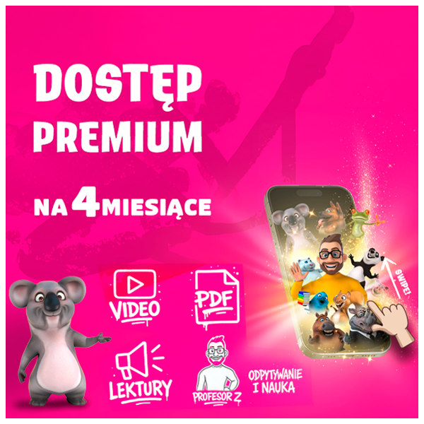 Hi School + Profesor Z – NA 4 MIESIĄCE