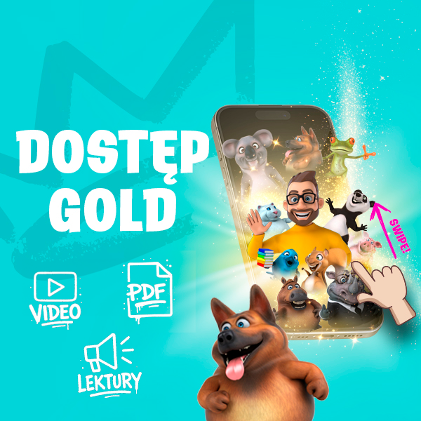 Hi School Gold - NA ROK